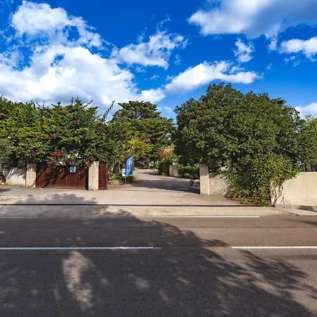 Lisa Maria D N38 2p5 サリ・ソランザラ